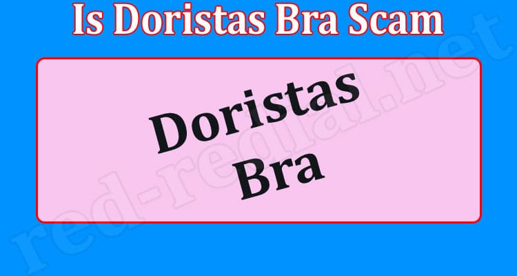 Doristas Bra Online Website Reviews