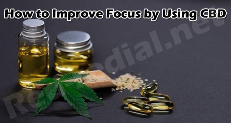 Complete Information How to Improve Focus by Using CBD