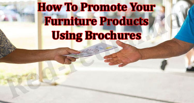 Latest News Furniture Products Using Brochures