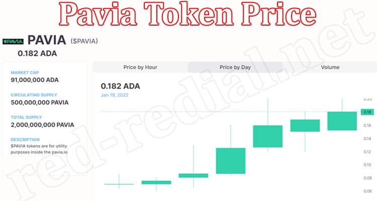 Latest News Pavia Token Price