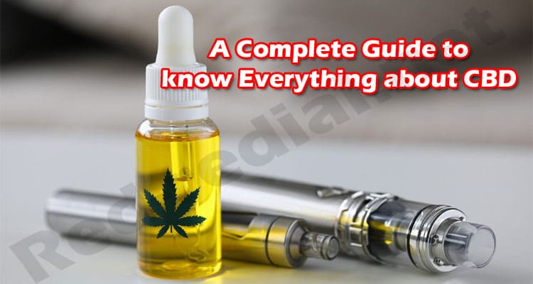 Latest News A Complete Guide to know Everything about CBD