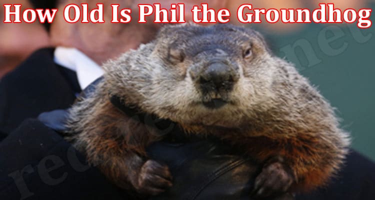 Latest News How Old Is Phil the Groundhog