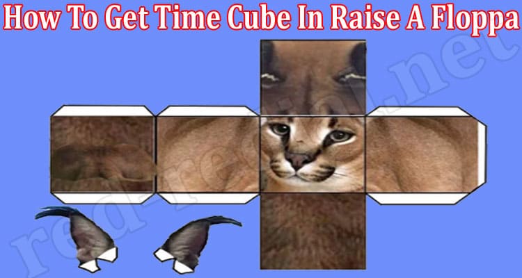 Gaming Tips How To Get Time Cube In Raise A Floppa
