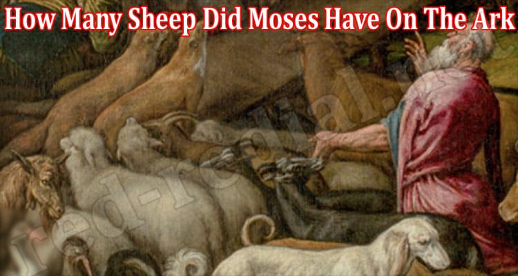 Latest News How Many Sheep Did Moses Have On The Ark