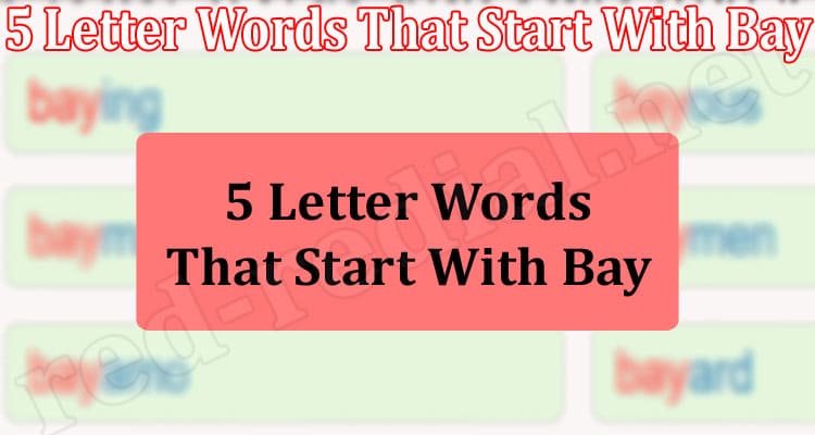 Gaming Tips 5 Letter Words That Start With Bay