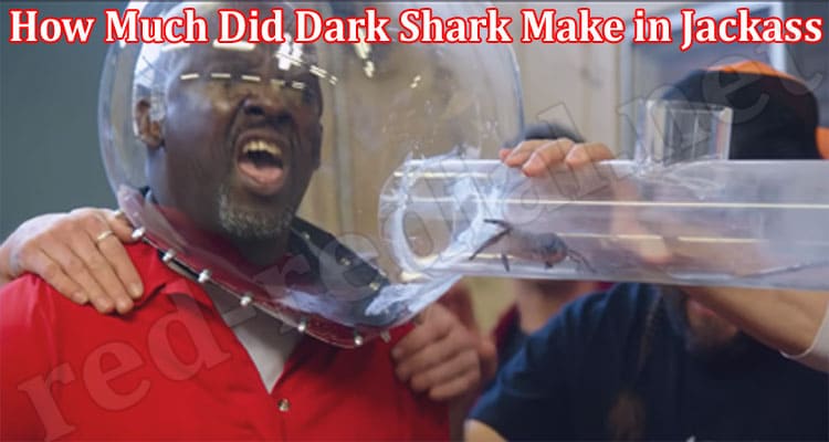 Latest News How Much Did Dark Shark Make In Jackass