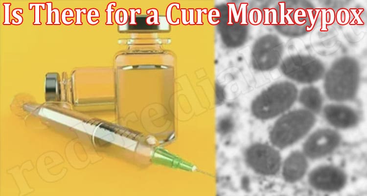 Latest News Is There for a Cure Monkeypox