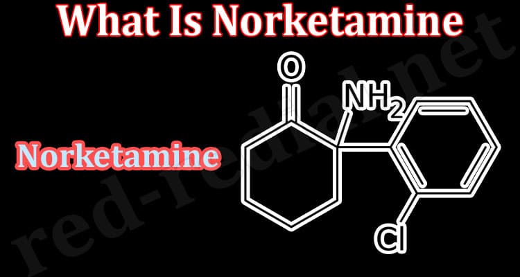 Latest News What Is Norketamine