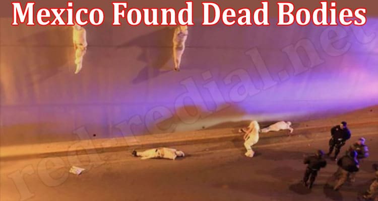 Latest News Mexico Found Dead Bodies