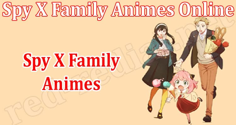 Latest News Spy X Family Animes Online