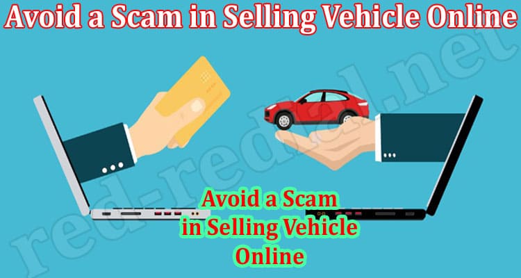 What Can I Do to Avoid a Scam in Selling Vehicle Online