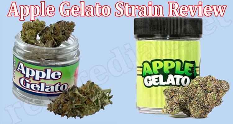 Apple Gelato Strain Online Review 