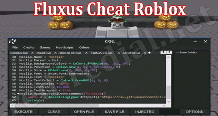 Gaming Tips Fluxus Cheat Roblox