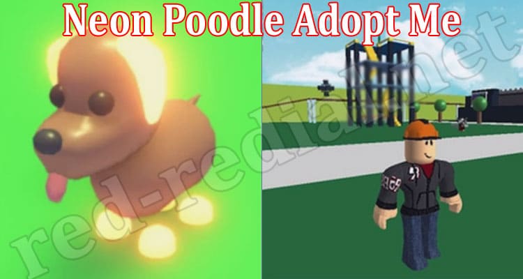 Gaming Tips Neon Poodle Adopt Me