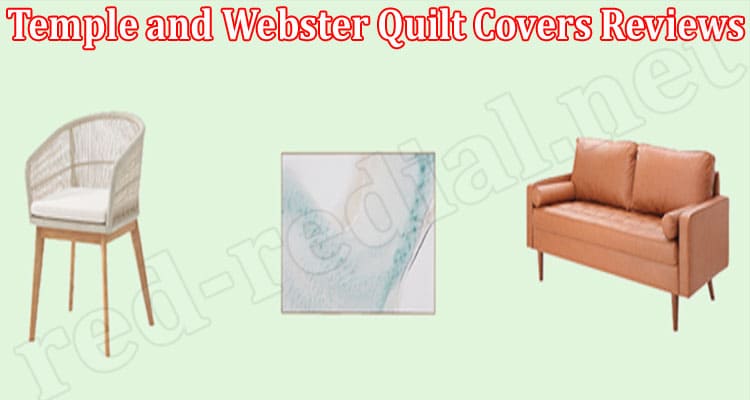 Temple and Webster Quilt Covers Online website Reviews