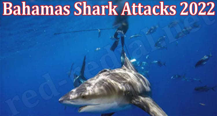 Latest News Bahamas Shark Attacks 2022