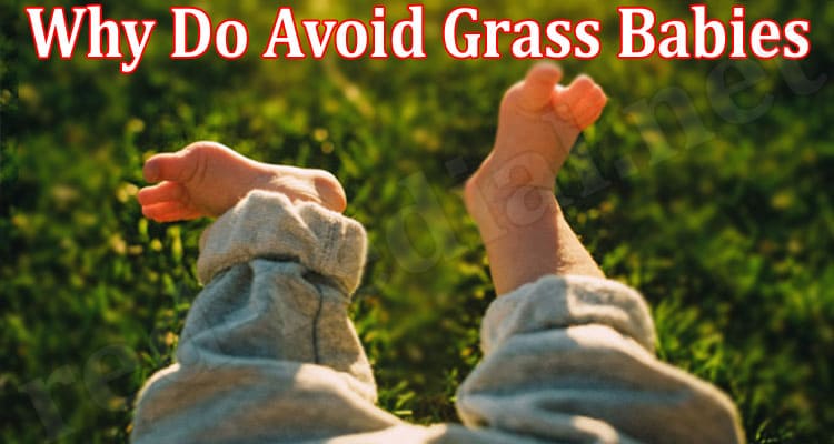 Latest News Why Do Avoid Grass Babies