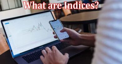 About general Information What are Indices