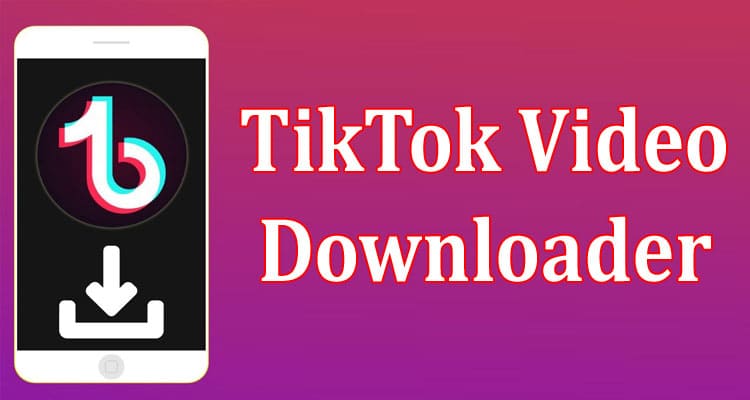 Complete Information TikTok Video Downloader
