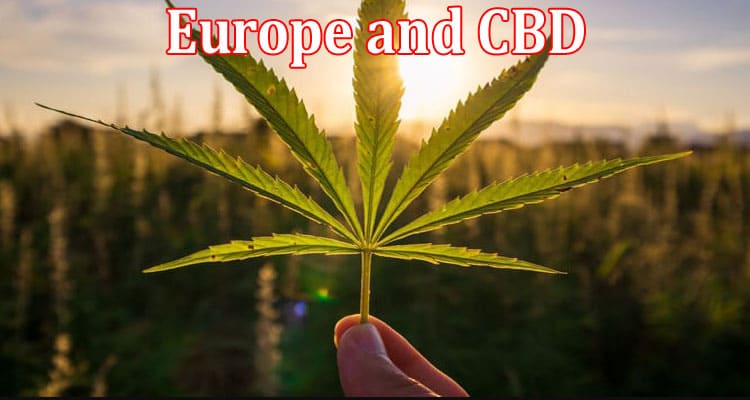 Europe and CBD The Active Ingredient Is Considered Legal