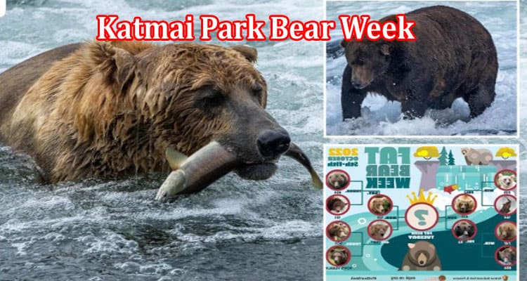 Latest News Katmai Park Bear Week
