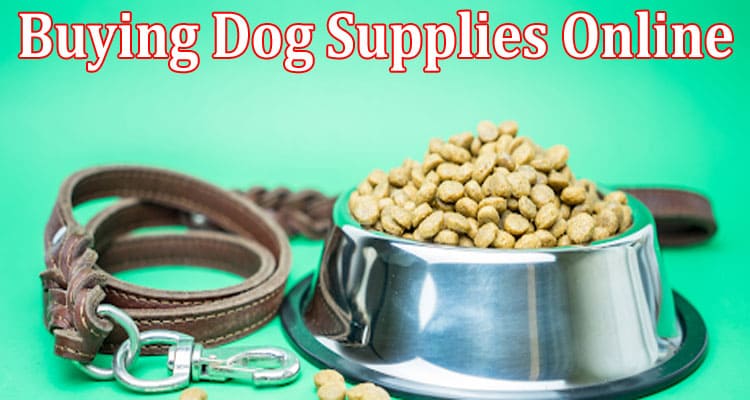 Top 9 Helpful Tips for Buying Dog Supplies Online