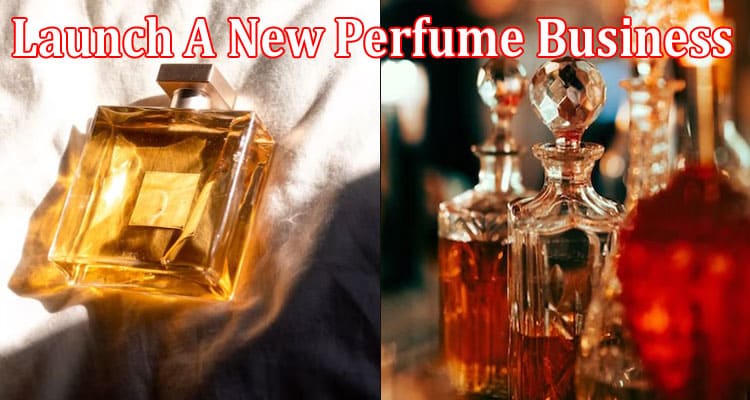 Everything You Need To Know To Launch A New Perfume Business
