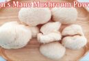Lion's Mane Mushroom Powder is an Excellent Health Nutrient