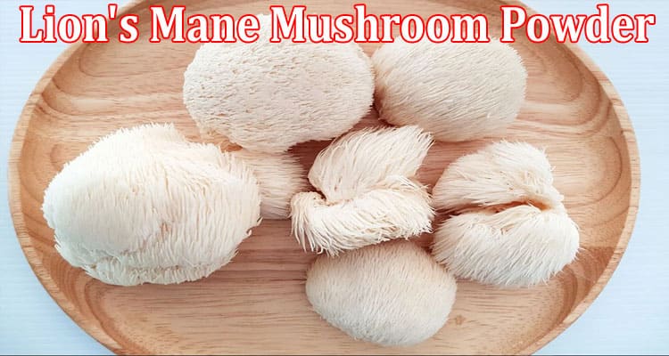 Lion's Mane Mushroom Powder is an Excellent Health Nutrient