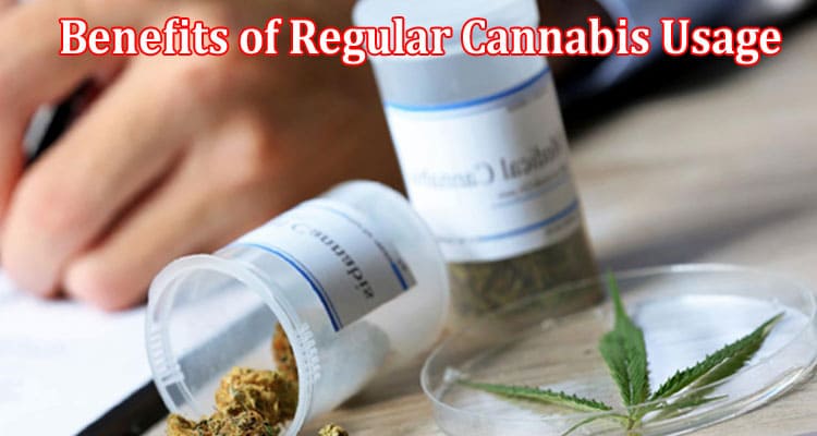 Main Benefits of Regular Cannabis Usage