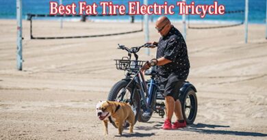 Complete Information About Best Fat Tire Electric Tricycle