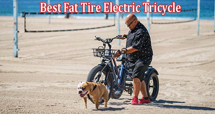 Complete Information About Best Fat Tire Electric Tricycle