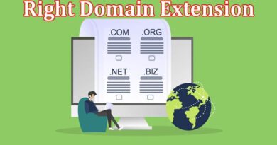 Complete Information About Choosing the Right Domain Extension for Your Business Name