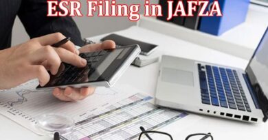 Complete Information About ESR Filing in JAFZA Everything Thing You Need To Know!