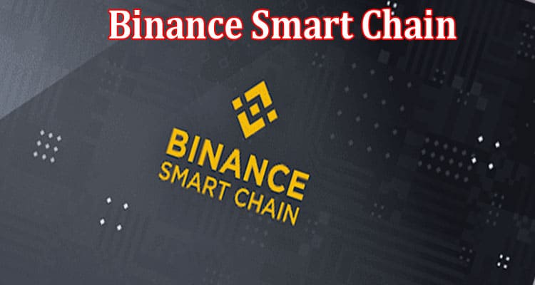 Complete Information Binance Smart Chain Average Transaction Fee