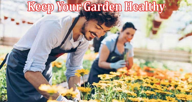 Complete Information About 11 Ways to Keep Your Garden Healthy