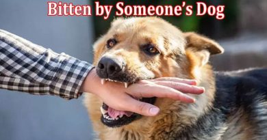Complete Information About Bitten by Someone’s Dog Here’s What to Do Next
