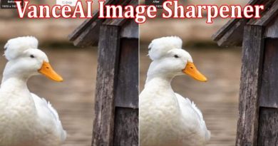 Complete Information About VanceAI Image Sharpener Find Multiple Solutions for Image Blur