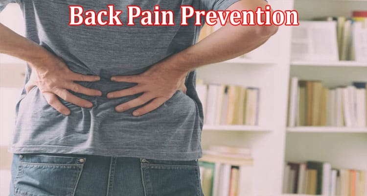Complete Information About Watch Your Back. Back Pain Prevention and Survival Guide