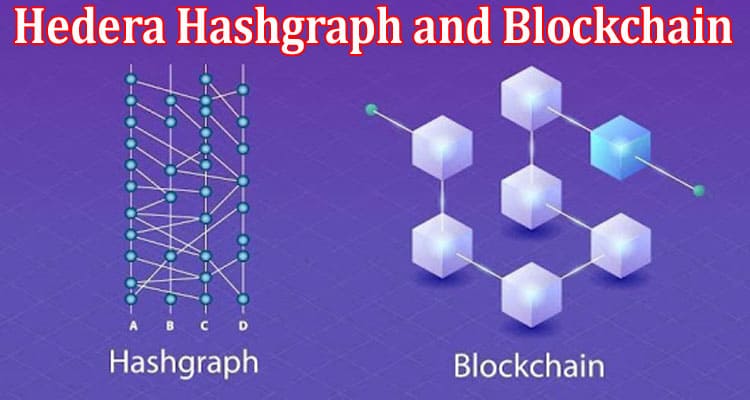 Difference Between Hedera Hashgraph and Blockchain
