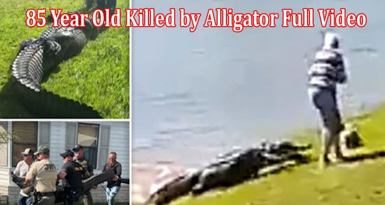 Latest News 85 Year Old Killed by Alligator Full Video