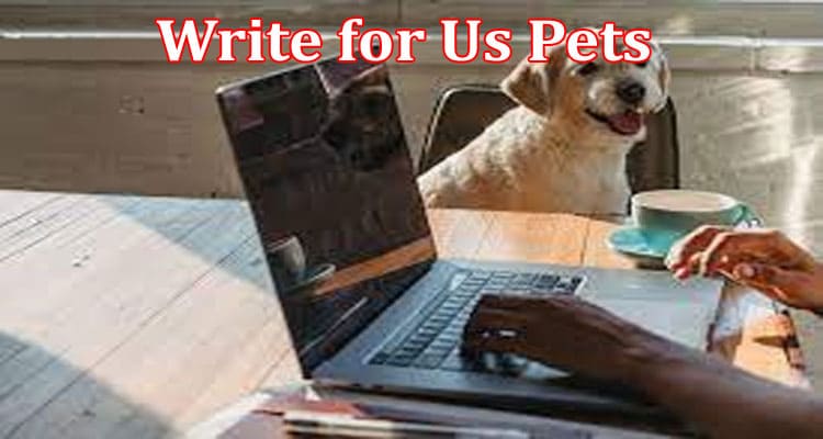 About General Information Write for Us Pets