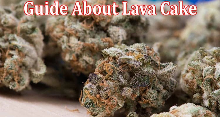 Complete Information About The Ultimate Guide About Lava Cake
