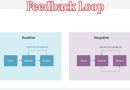 What Is a Feedback Loop and How Does It Work