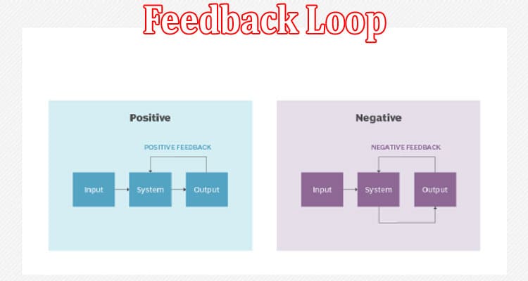 What Is a Feedback Loop and How Does It Work