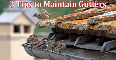 Complete Information About 3 Tips to Maintain Gutters