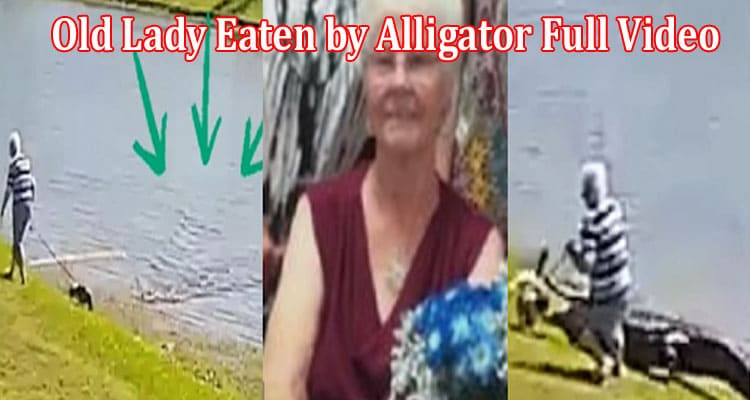 Latest News Old Lady Eaten by Alligator Full Video