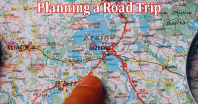 Complete Information About Are You Planning a Road Trip This Summer