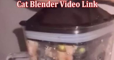 Latest News Cat Blender Video Link