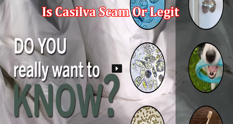 Casilva online website reviews